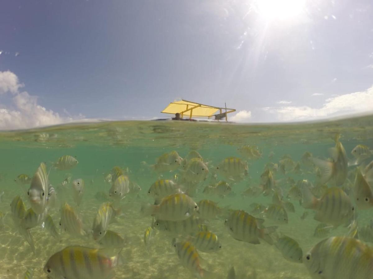 Casa Em Sao Miguel Dos Milagres - 700M Do Mar Villa Eksteriør billede